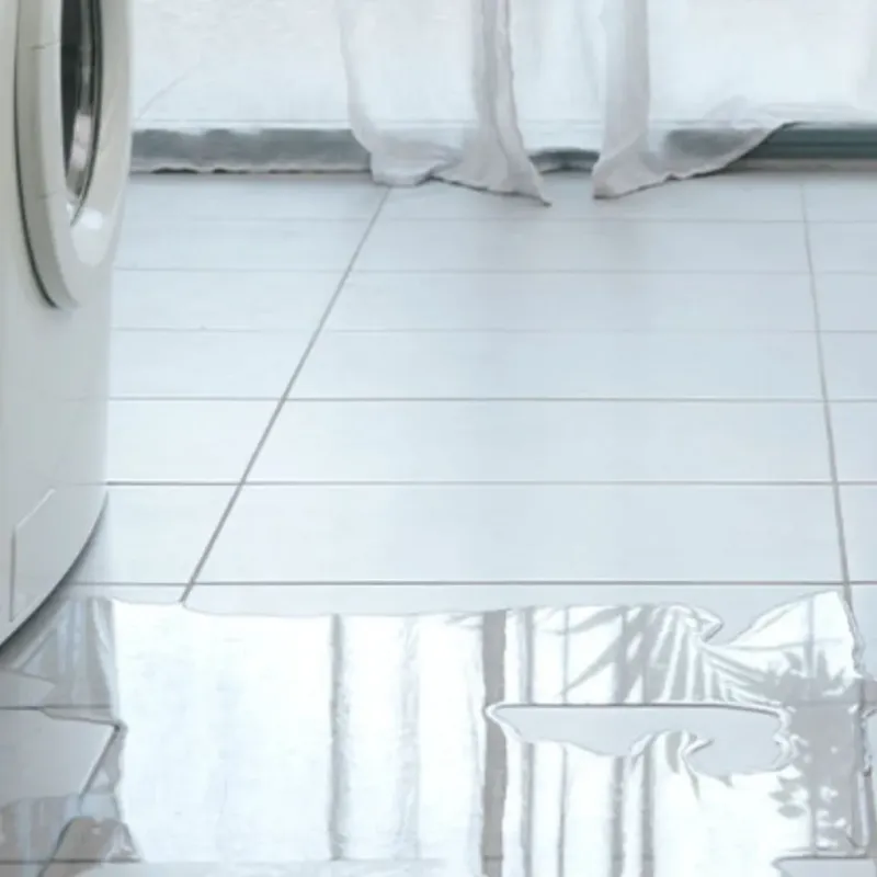 Appliance Leak Cleanup in Lakewood, SC